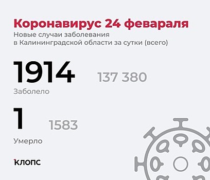 Каждый третий заболевший — пенсионер: подробности о ситуации с ковидом в Калининградской области