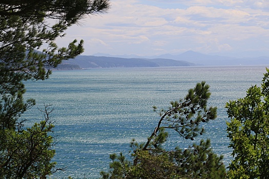 Дегустации, фестивали и места для отдыха душой: чем Абрау-Дюрсо готово удивлять туристов