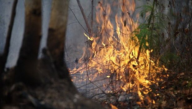 Площадь пожаров в Бурятии превысила 26 тысяч гектаров
