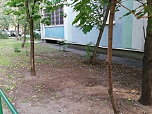 Двор дома по Перовской улице оперативно убрали от мусора