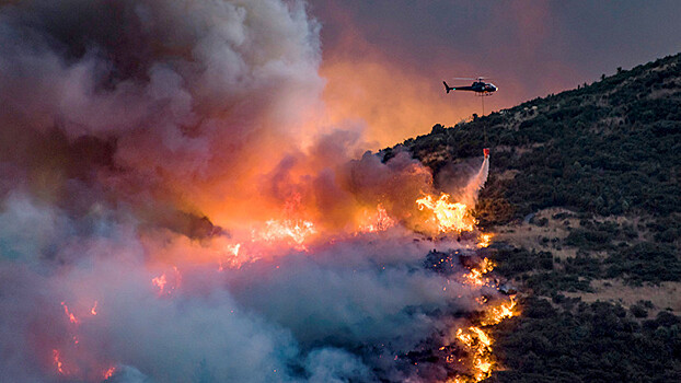 Возможен поджог: лесные пожары наступают на крупный город в Новой Зеландии
