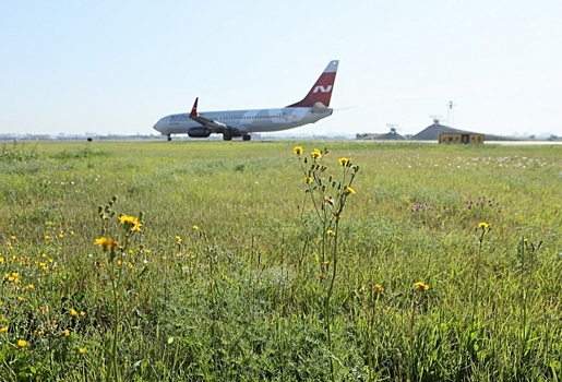 Из-за атаки беспилотников на 7 часов задержан вылет самолета из Сочи в Омск