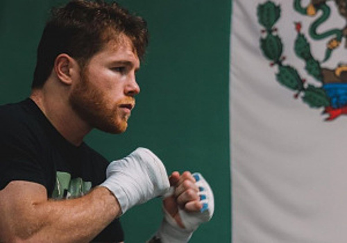 Саулю Альваресу разрешили «доброволку» по WBC