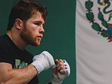 Саулю Альваресу разрешили «доброволку» по WBC