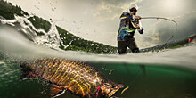 День рыбака: топ-10 мест для бесплатной рыбалки в Подмосковье