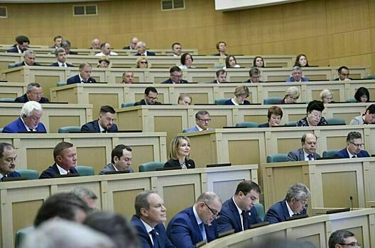 Все сенаторы в срок отчитались о доходах за 2024 год