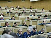 Все сенаторы в срок отчитались о доходах за 2024 год