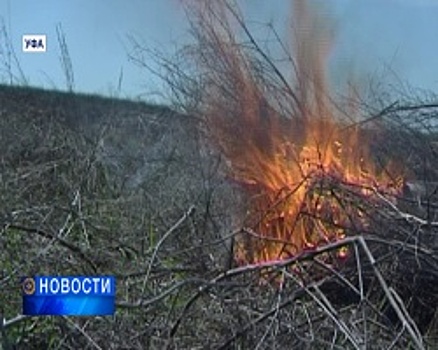 В Башкортостане сотрудники МЧС провели профилактический рейд по лесным пожарам