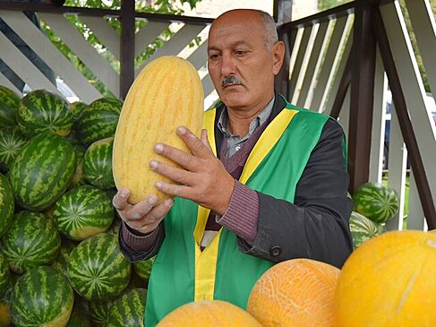 Сколько арбуза можно съесть в день