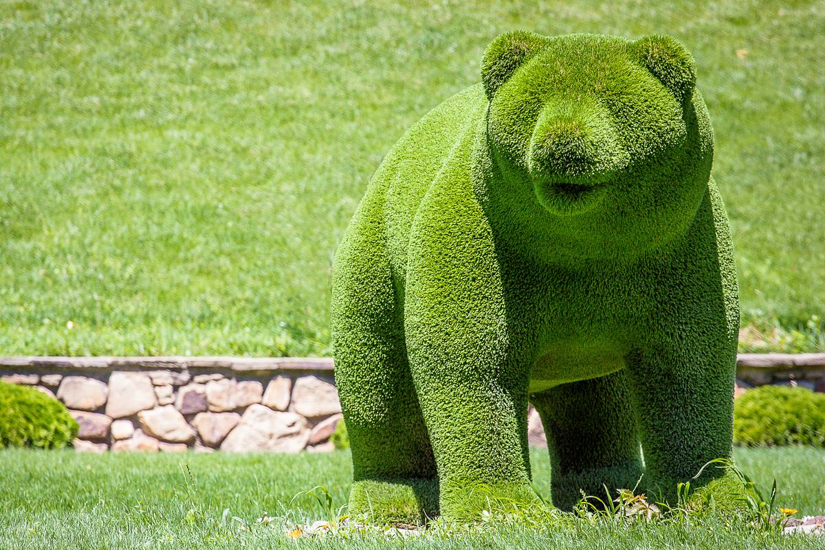 В Москве медведям пришлось расстаться из-за аморальных хулиганов