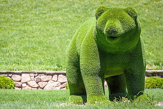 В Москве медведям пришлось расстаться из-за аморальных хулиганов