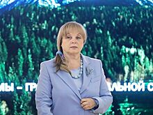 Коллегия по жалобам на СМИ назвала конфликт ЦИК и AP досадным спором