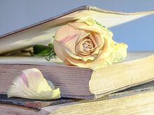 Библиотека № 214 приглашает 25 февраля на онлайн-встречу книжного клуба «Голос»