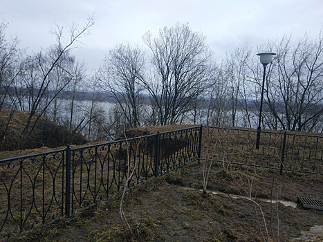 Появились фотографии оползня из Кстовского парка