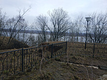 Появились фотографии оползня из Кстовского парка