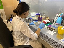 В правительстве Новосибирской области оценили разработки молодых биоинженеров