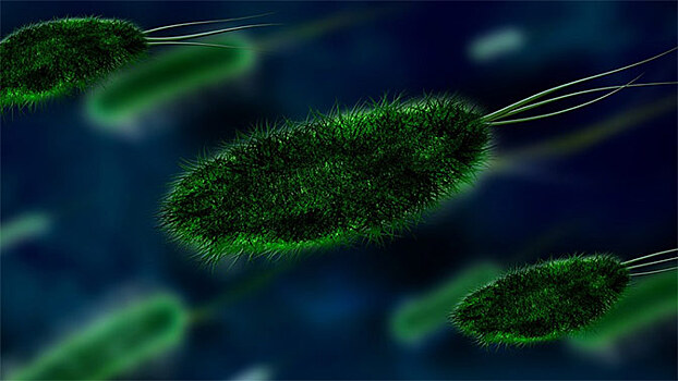 На МКС выявлены меняющие размер бактерии