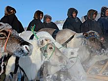В Ненецком автономном округе появится новая профессия