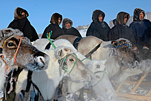В Ненецком автономном округе появится новая профессия