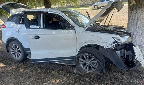 На трассе под Волгоградом иномарка врезалась в дерево, трое пострадали