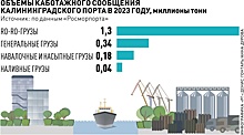 В Калининград по морю теперь доставляют только санкционные грузы