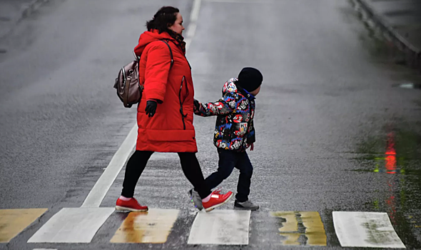 В России предложили ввести штраф в десять тысяч для пешеходов