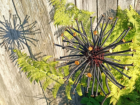 "Бублики" из ротанга, одуванчики из гвоздей и еще 5 заразительных идей садового декора