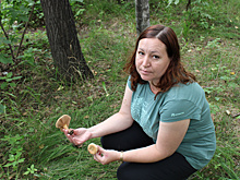 В центре Хабаровска торгуют ядовитыми грибами