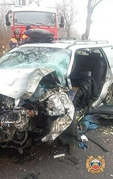 На въезде в Мамоново автомобиль врезался в дерево, водителя увезли в больницу