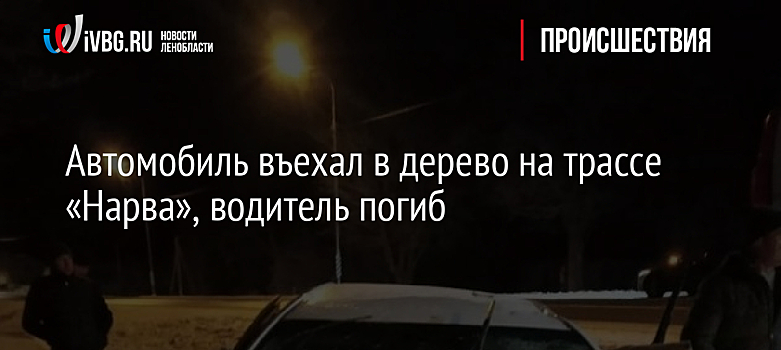Автомобиль въехал в дерево на трассе «Нарва», водитель погиб