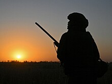 Сжегший паспорт на СВО британец объяснил свое решение