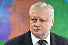 Миронов предложил перевести Ростуризм и Россотрудничество в Крым