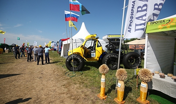 В Волгоградской области провели традиционный День поля