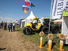 В Волгоградской области провели традиционный День поля