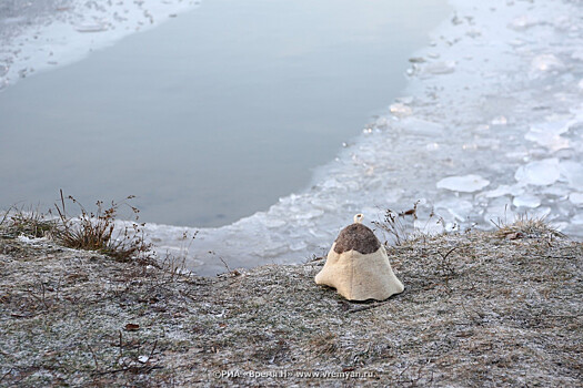 Нижегородцев просят не выходить на водоемы