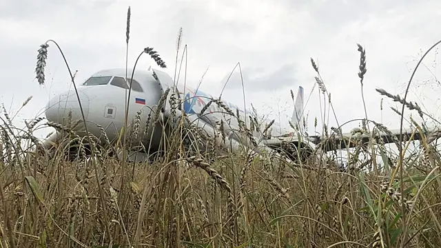 Севший в пшеничном поле самолет «Уральских авиалиний» оказался исправен