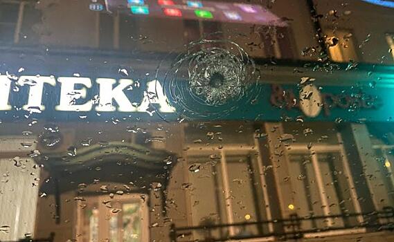 В Курске начата проверка по факту расстрела машины из пневматики