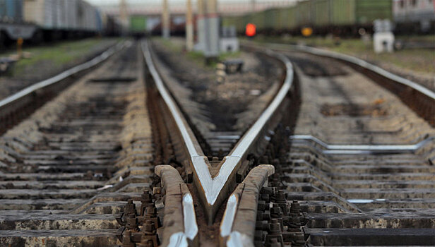 В Москве поезд насмерть сбил 46-летнюю иностранку