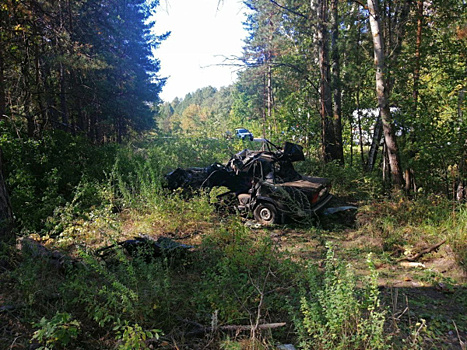 В Самарской области водитель "семерки" вылетел в кювет с трассы