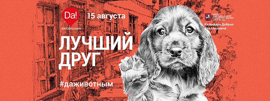 Нижний Новгород присоединился к акции «Лучший друг»
