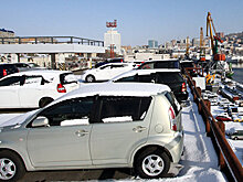 Власти изучат, почему автомобили без ГЛОНАСС не выдали хозяевам на таможне