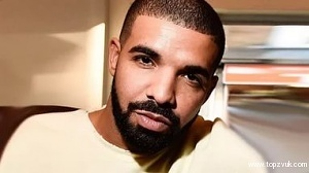 Drake танцевал в толпе фанатов на концерте Трэвиса Скотта