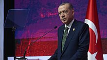 Россия дала совет Турции, начавшей спецоперацию против США