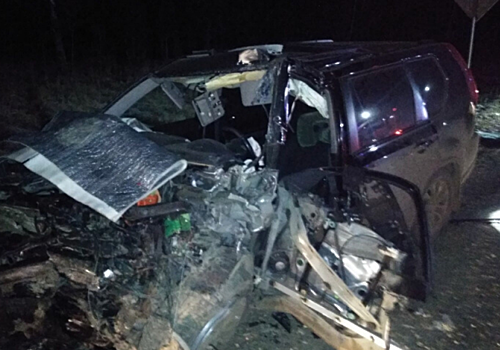 Возле деревни Ельцино два автомобиля столкнулись влобовую