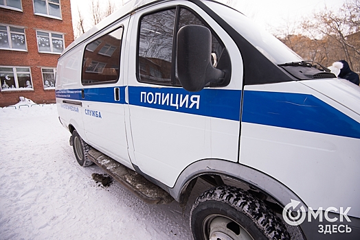 Омские полицейские задержали вора благодаря камере в тёплой остановке