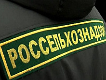 К владимирским лекарствам есть претензии
