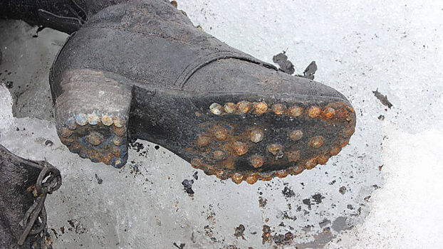 Глобальное потепление возвращает мертвецов