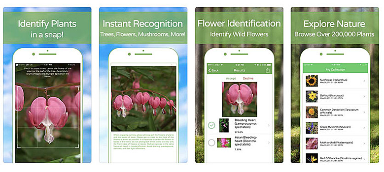 15 диких приложений из топов App Store США, Китая и Японии