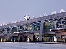 Собака обнаружила более 28 тысяч долларов у пассажира рейса «Новосибирск-Ташкент»