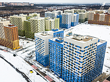 Эксперт оценил новую идею по борьбе со сделками по «схеме Долиной»